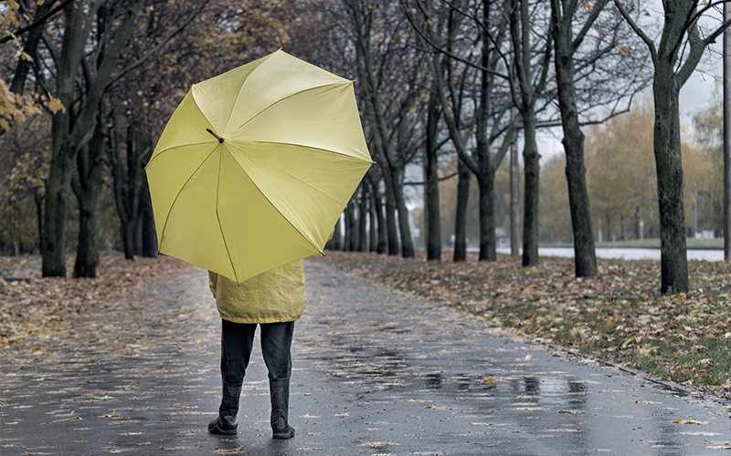 ophelie-plateau-avocat-avocate-associee-juriste-droit-social-et-sante-au-travail-lyon-Droit-de-la-protection-sociale-complémentaire